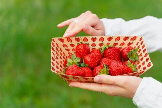 HUBERGROUP LANZA UNA SERIE DE TINTAS PARA OFFSET HOJA PARA EL CONTACTO DIRECTO CON ALIMENTOS